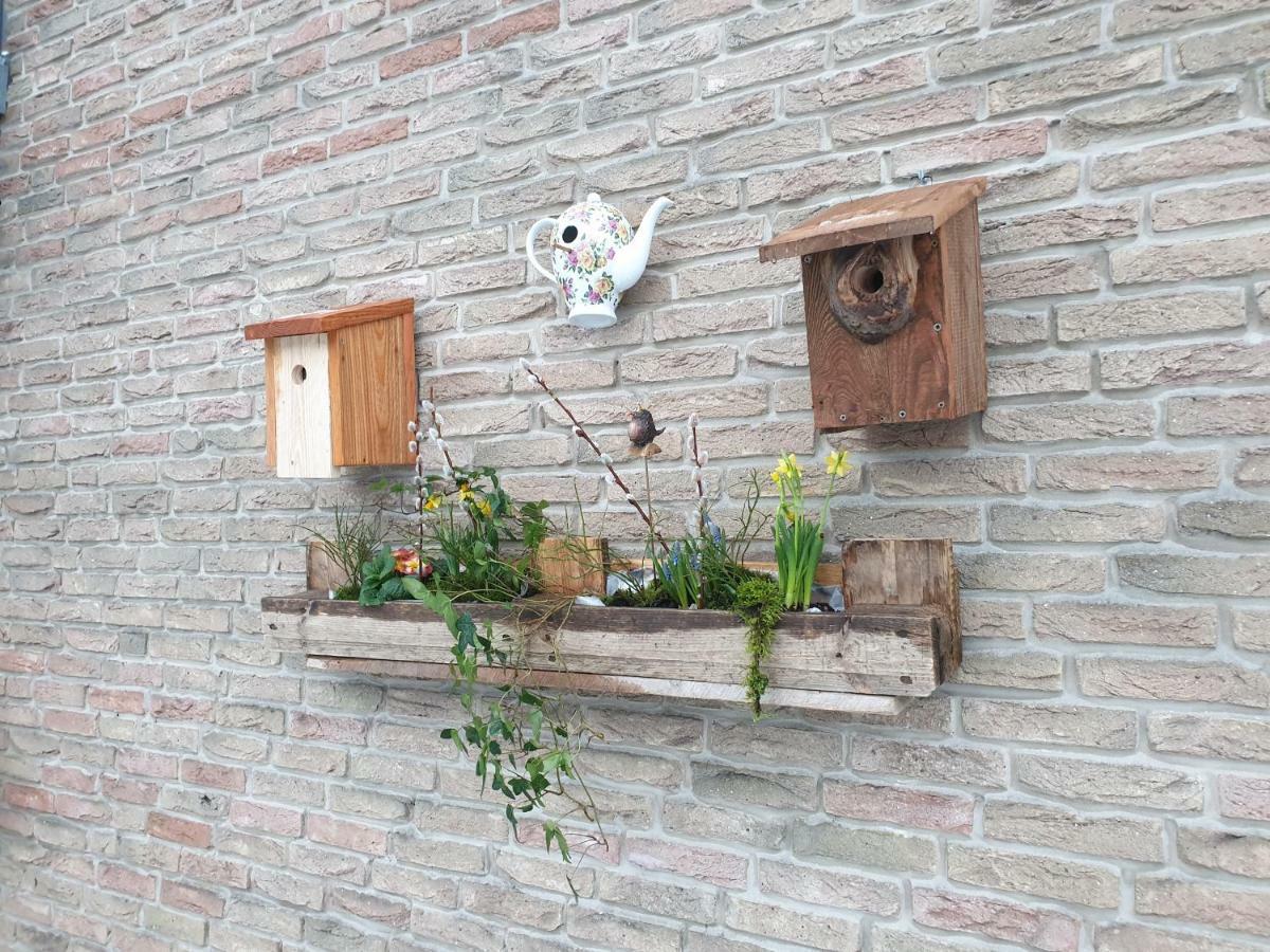 Ferienwohnung Vogelvilla Altenbeken 外观 照片